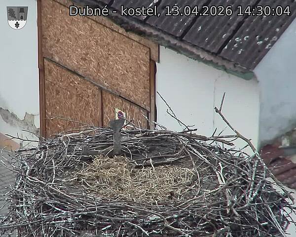 Capi_Dubne_20260413_143004.jpg (1350&nbsp;x&nbsp;1080)