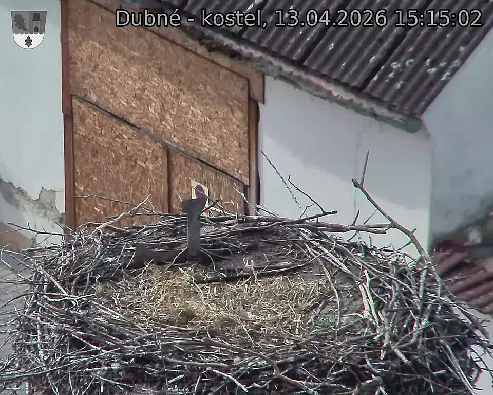 Capi_Dubne_20260413_151502.jpg (1350&nbsp;x&nbsp;1080)
