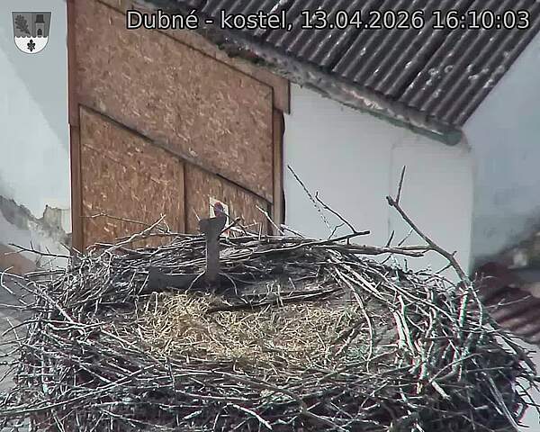 Capi_Dubne_20260413_161003.jpg (1350&nbsp;x&nbsp;1080)