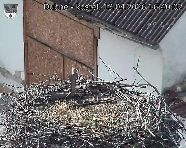 Capi_Dubne_20260413_164002.jpg (1350&nbsp;x&nbsp;1080)