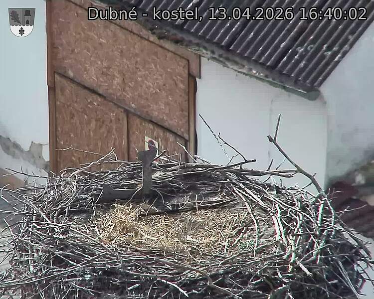 Capi_Dubne_20260413_164002.jpg (1350&nbsp;x&nbsp;1080)