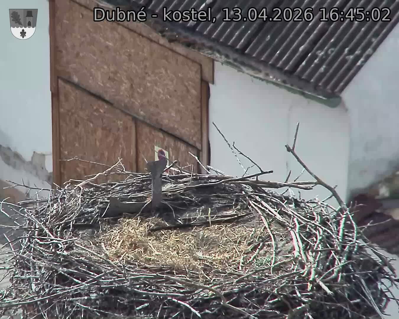 Capi_Dubne_20260413_164502.jpg (1350&nbsp;x&nbsp;1080)