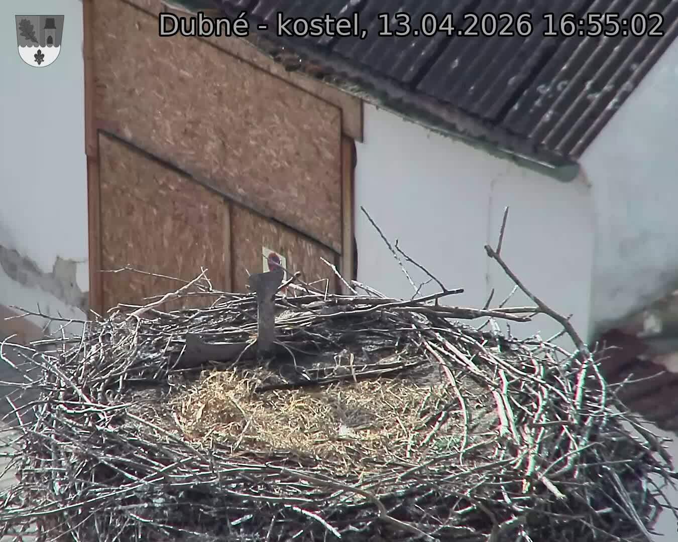 Capi_Dubne_20260413_165502.jpg (1350&nbsp;x&nbsp;1080)