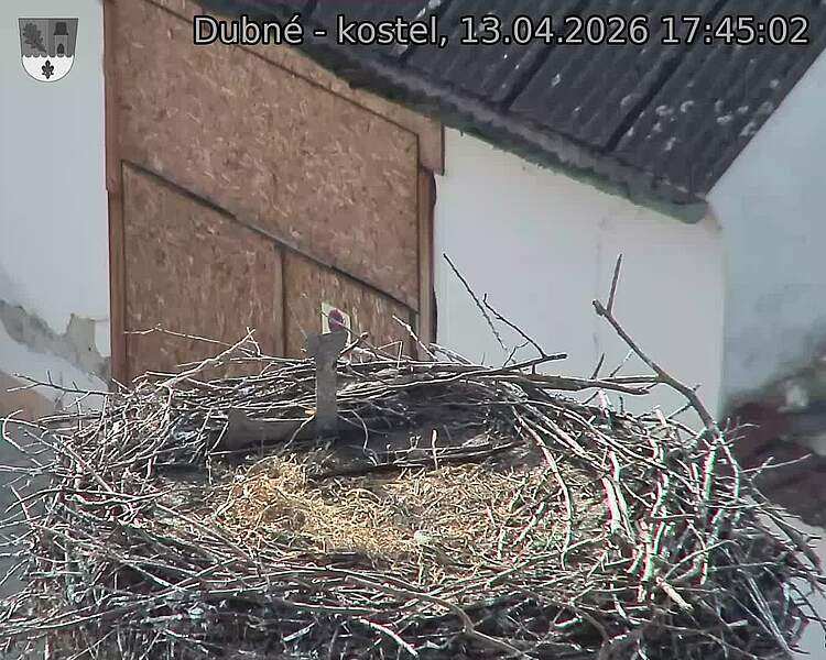 Capi_Dubne_20260413_174502.jpg (1350&nbsp;x&nbsp;1080)