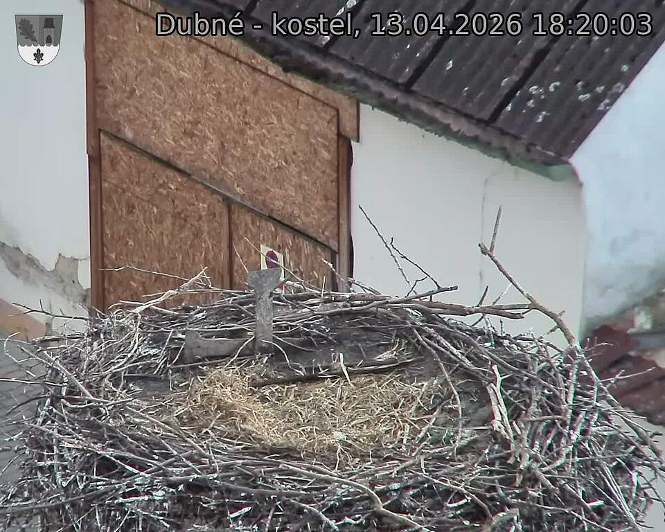Capi_Dubne_20260413_182003.jpg (1350&nbsp;x&nbsp;1080)