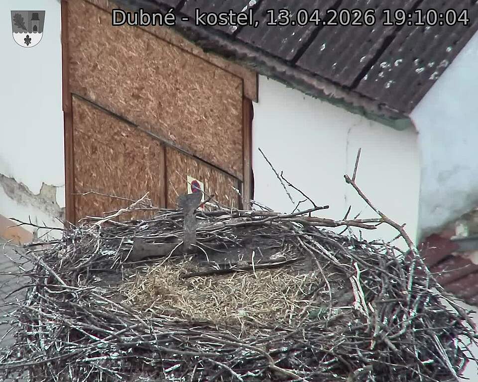 Capi_Dubne_20260413_191004.jpg (1350&nbsp;x&nbsp;1080)