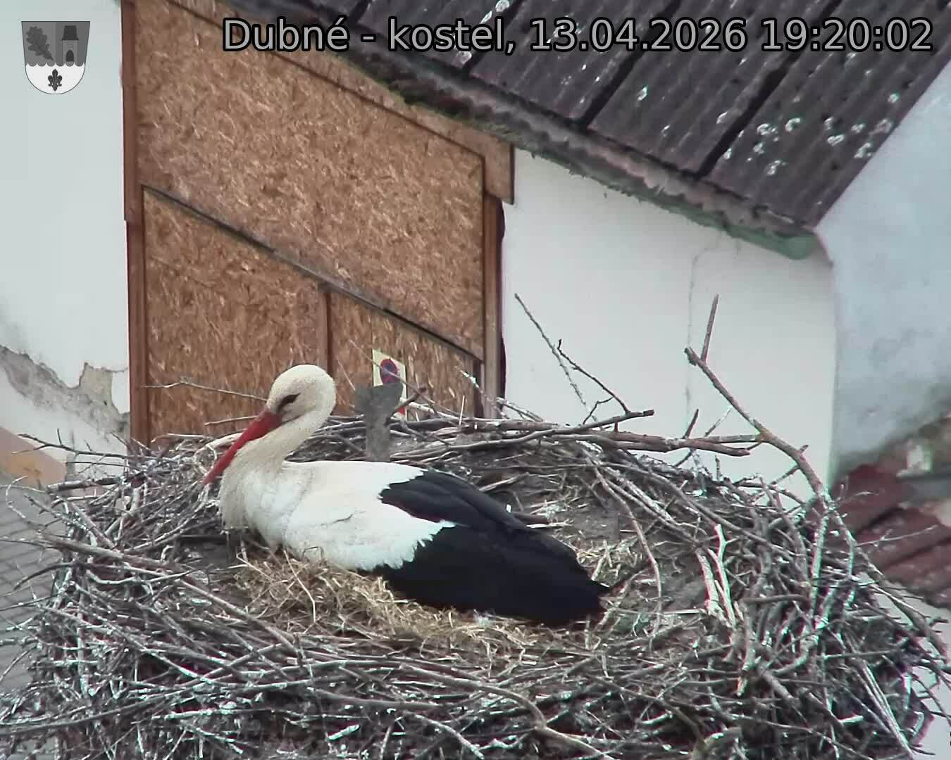 Capi_Dubne_20260413_192002.jpg (1350&nbsp;x&nbsp;1080)