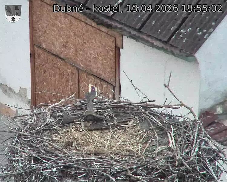 Capi_Dubne_20260413_195502.jpg (1350&nbsp;x&nbsp;1080)