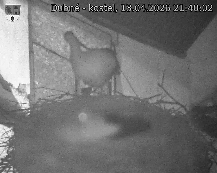Capi_Dubne_20260413_214002.jpg (1350&nbsp;x&nbsp;1080)