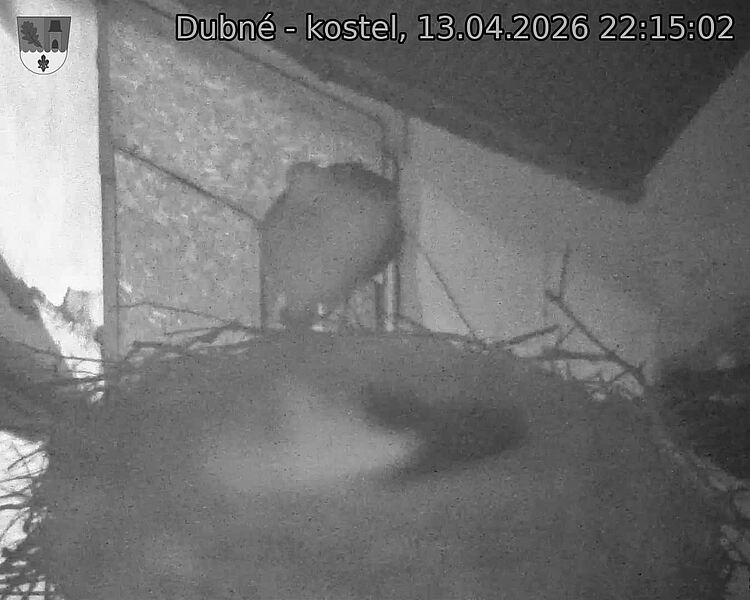 Capi_Dubne_20260413_221502.jpg (1350&nbsp;x&nbsp;1080)