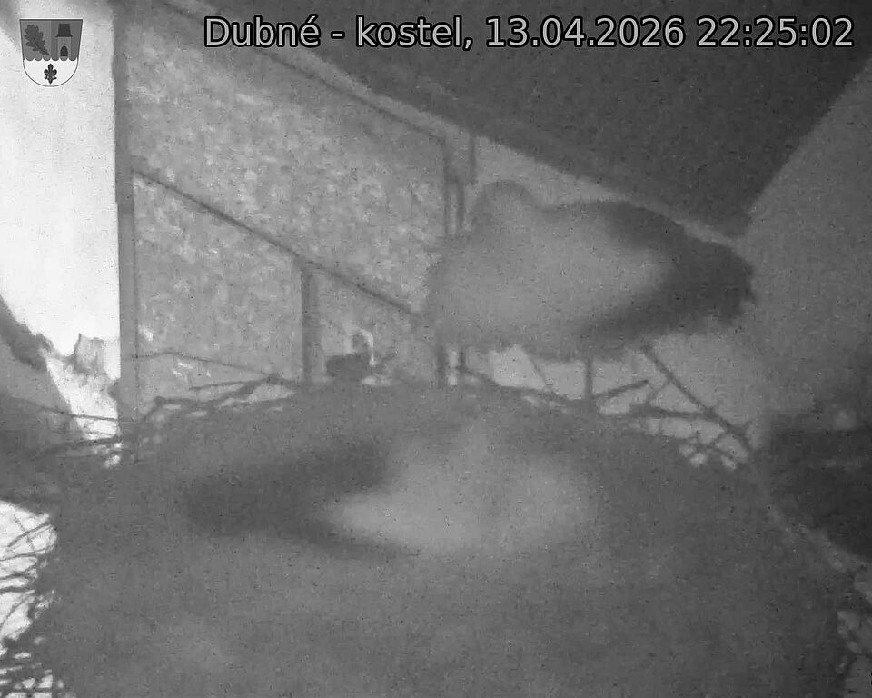 Capi_Dubne_20260413_222502.jpg (1350&nbsp;x&nbsp;1080)