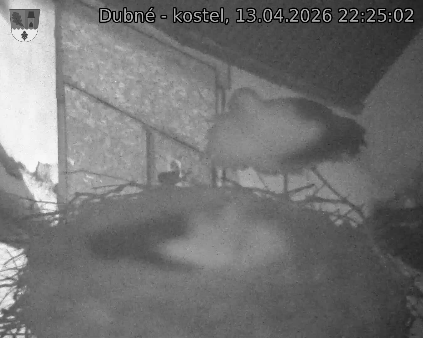 Capi_Dubne_20260413_222502.jpg (1350&nbsp;x&nbsp;1080)