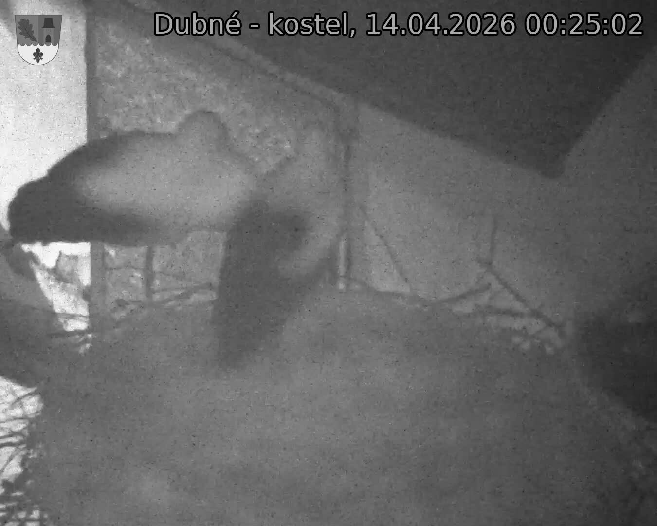 Capi_Dubne_20260414_002502.jpg (1350&nbsp;x&nbsp;1080)