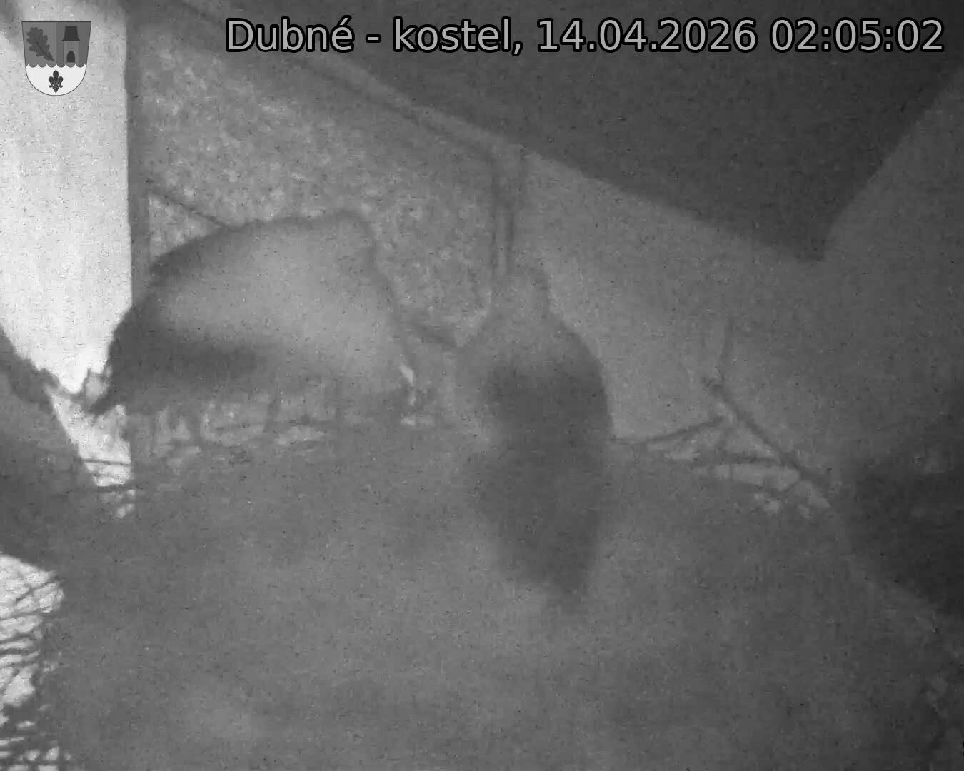 Capi_Dubne_20260414_020502.jpg (1350&nbsp;x&nbsp;1080)