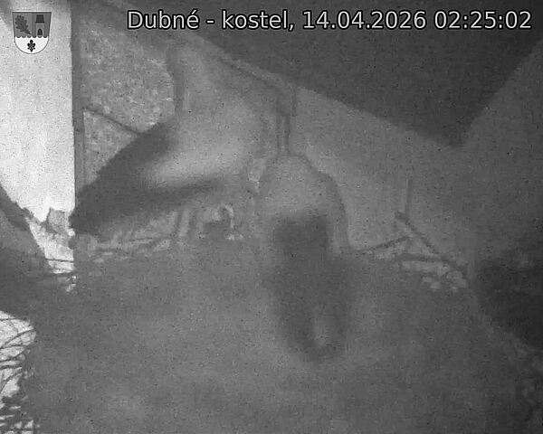 Capi_Dubne_20260414_022502.jpg (1350&nbsp;x&nbsp;1080)