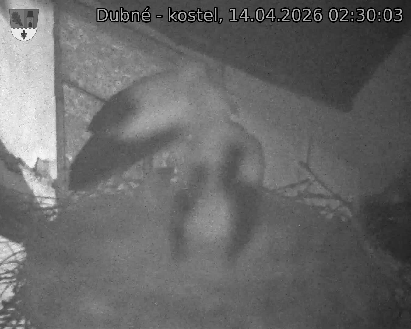 Capi_Dubne_20260414_023003.jpg (1350&nbsp;x&nbsp;1080)