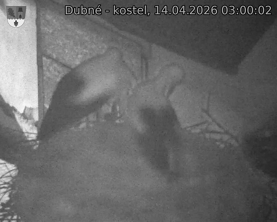 Capi_Dubne_20260414_030002.jpg (1350&nbsp;x&nbsp;1080)