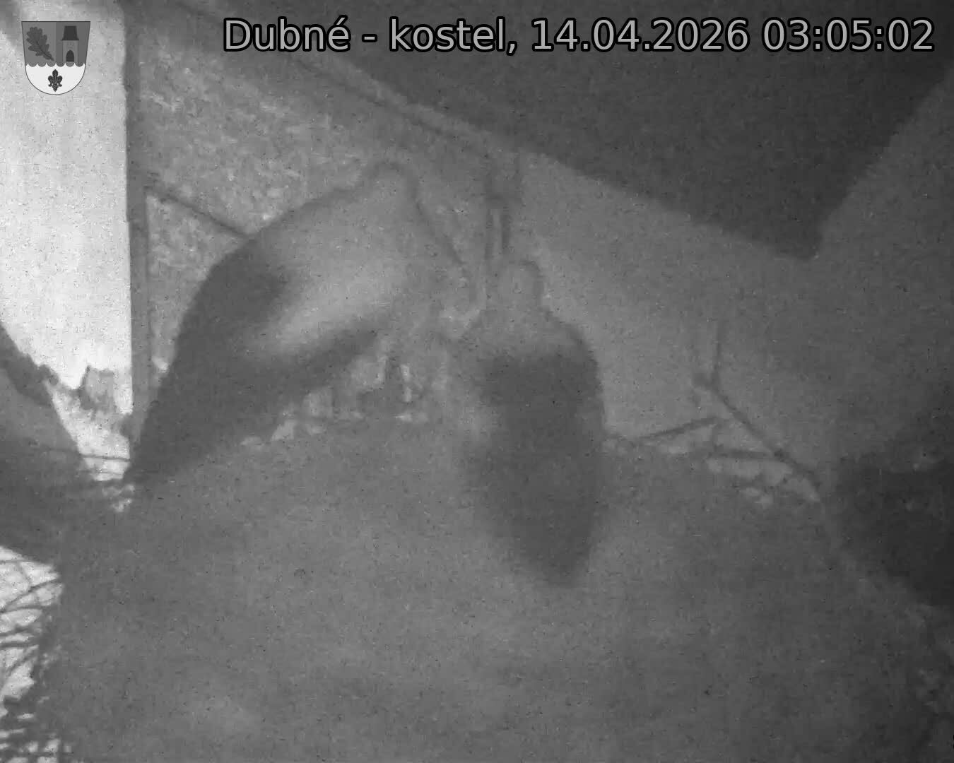 Capi_Dubne_20260414_030502.jpg (1350&nbsp;x&nbsp;1080)
