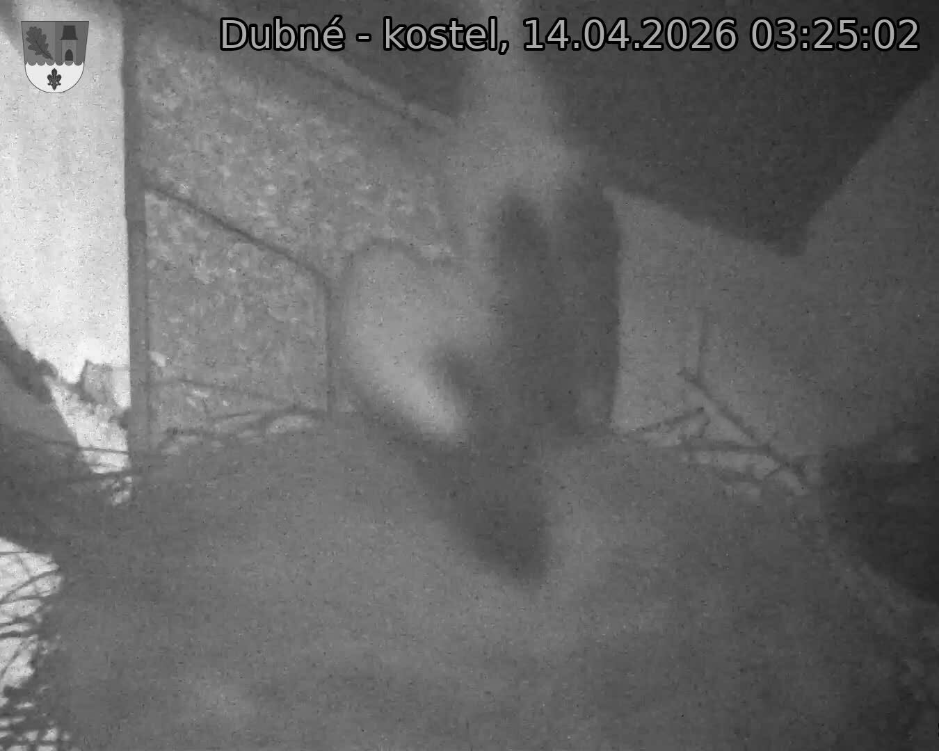 Capi_Dubne_20260414_032502.jpg (1350&nbsp;x&nbsp;1080)