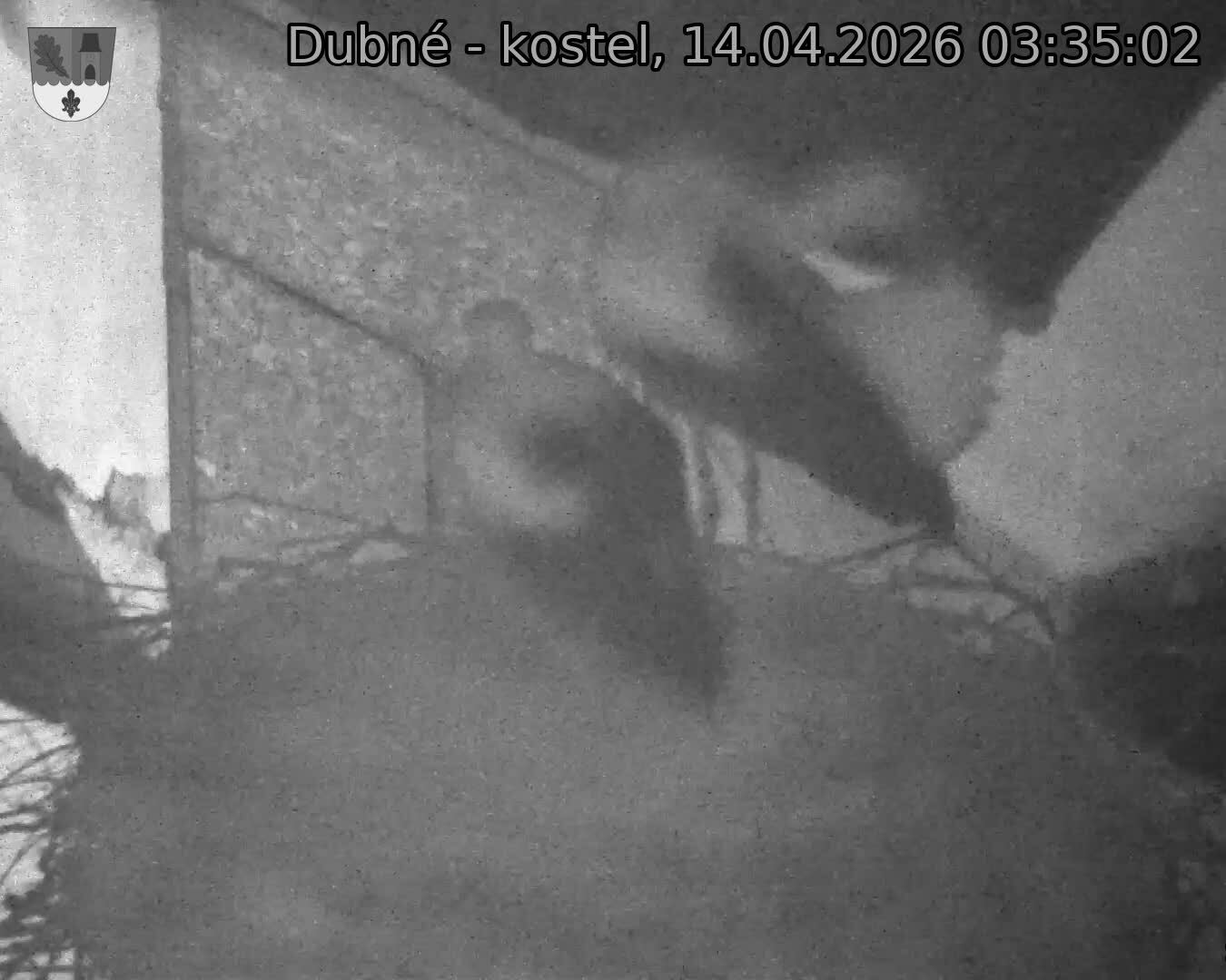 Capi_Dubne_20260414_033502.jpg (1350&nbsp;x&nbsp;1080)