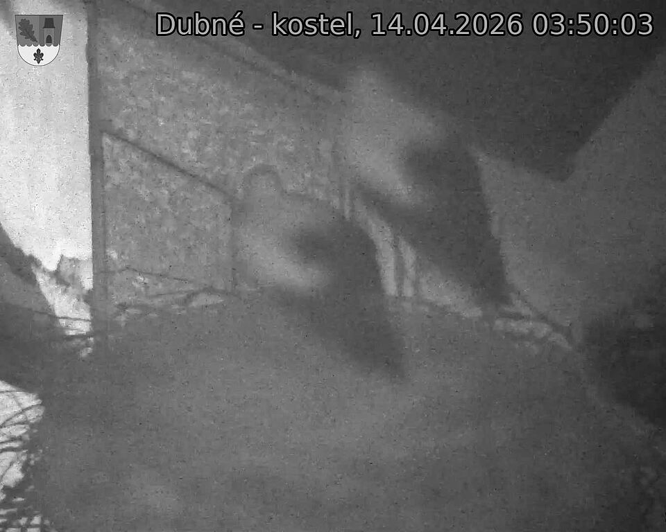 Capi_Dubne_20260414_035003.jpg (1350&nbsp;x&nbsp;1080)