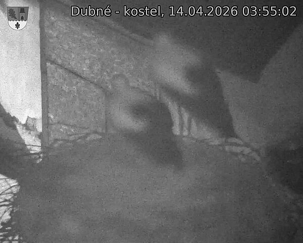 Capi_Dubne_20260414_035502.jpg (1350&nbsp;x&nbsp;1080)