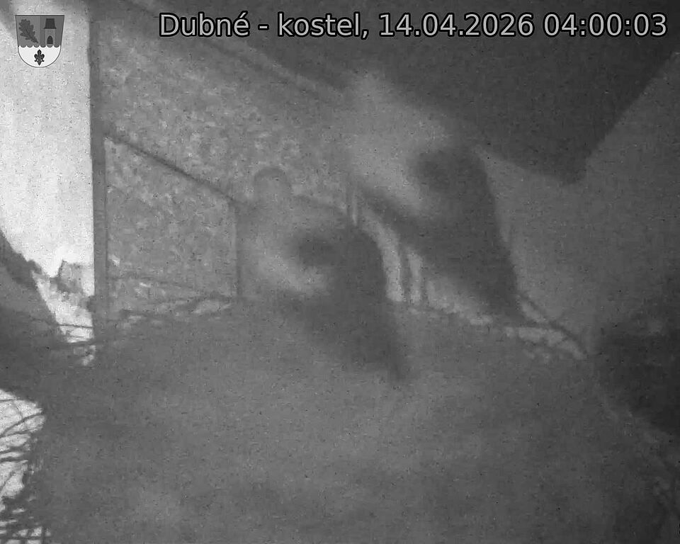 Capi_Dubne_20260414_040003.jpg (1350&nbsp;x&nbsp;1080)