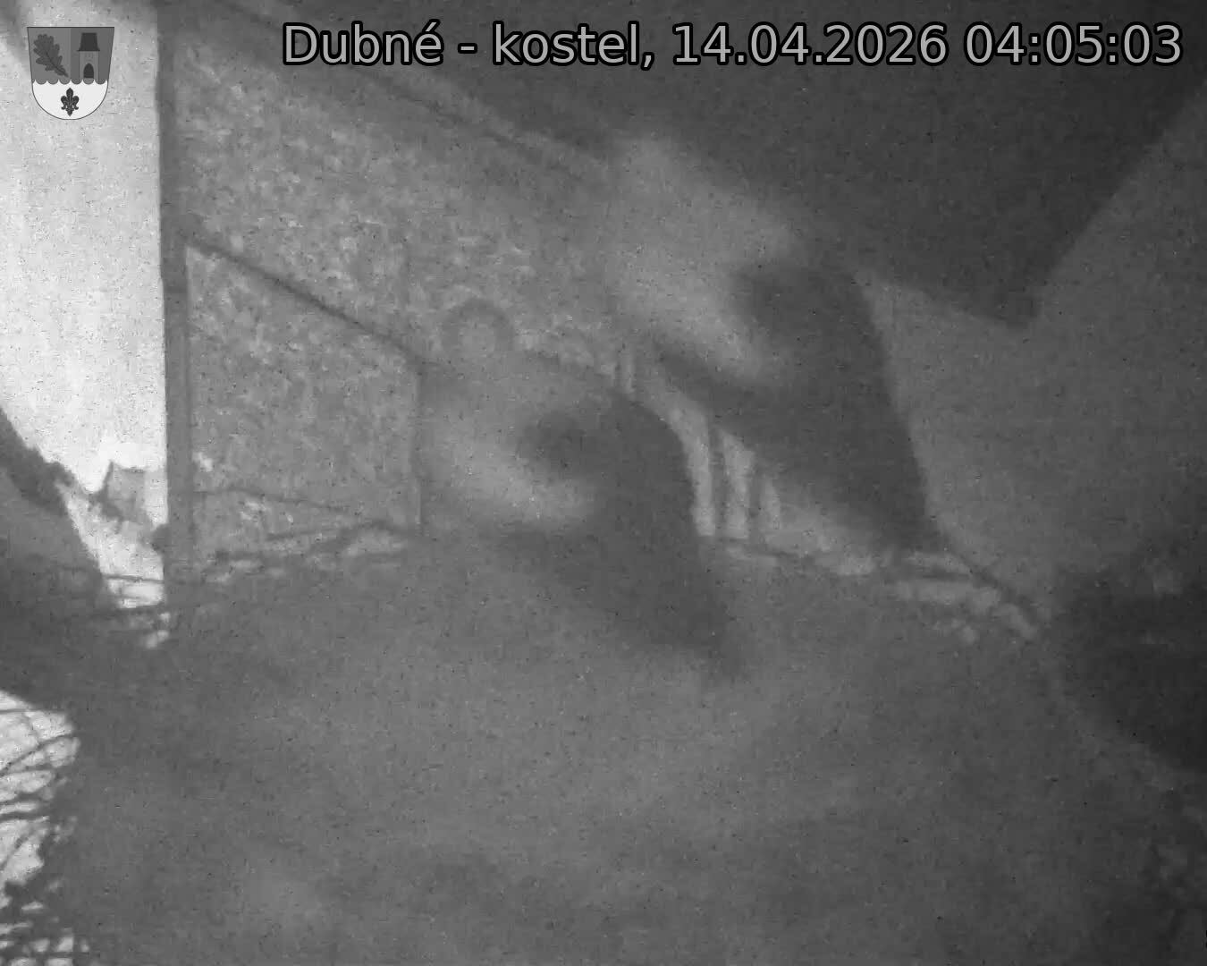 Capi_Dubne_20260414_040503.jpg (1350&nbsp;x&nbsp;1080)