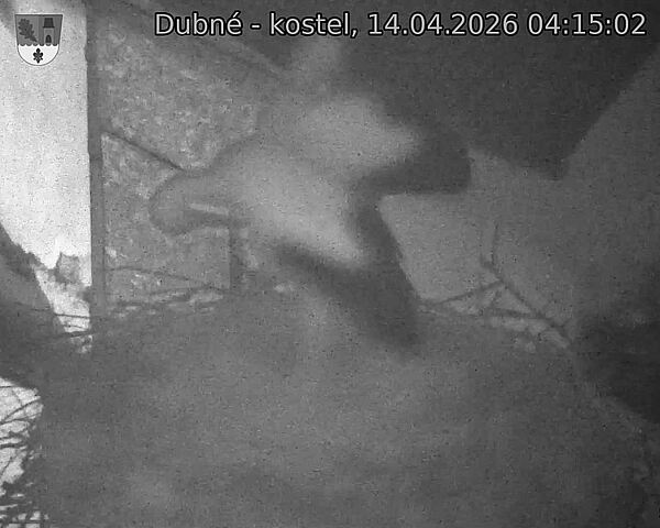 Capi_Dubne_20260414_041503.jpg (1350&nbsp;x&nbsp;1080)