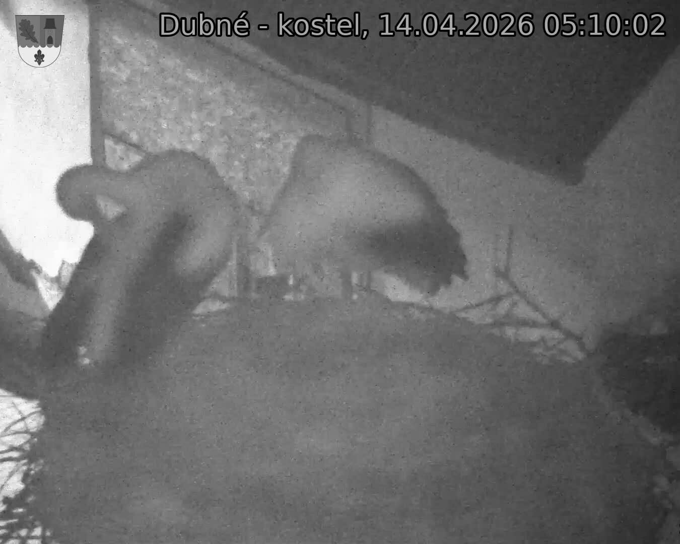 Capi_Dubne_20260414_051002.jpg (1350&nbsp;x&nbsp;1080)