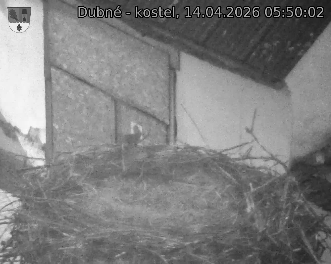 Capi_Dubne_20260414_055002.jpg (1350&nbsp;x&nbsp;1080)