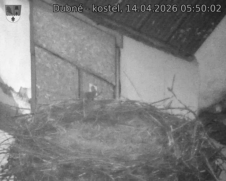 Capi_Dubne_20260414_055002.jpg (1350&nbsp;x&nbsp;1080)