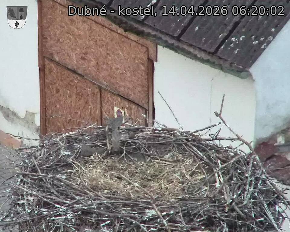 Capi_Dubne_20260414_062002.jpg (1350&nbsp;x&nbsp;1080)