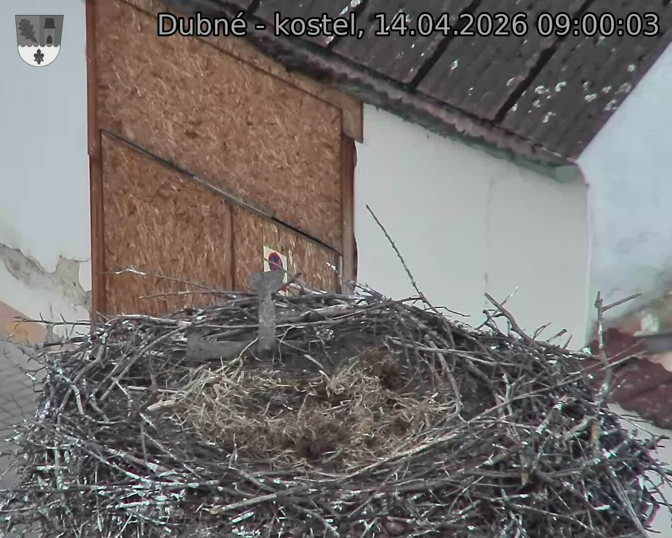 Capi_Dubne_20260414_090003.jpg (1350&nbsp;x&nbsp;1080)