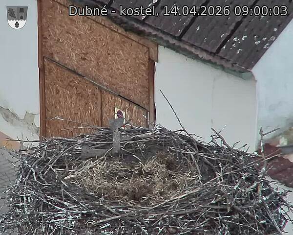 Capi_Dubne_20260414_090003.jpg (1350&nbsp;x&nbsp;1080)