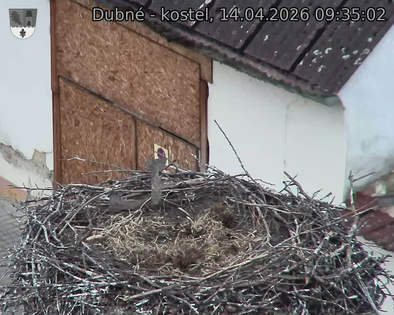 Capi_Dubne_20260414_093502.jpg (1350&nbsp;x&nbsp;1080)
