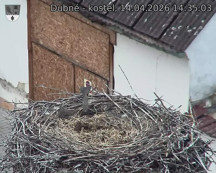 Capi_Dubne_20260414_143503.jpg (1350&nbsp;x&nbsp;1080)