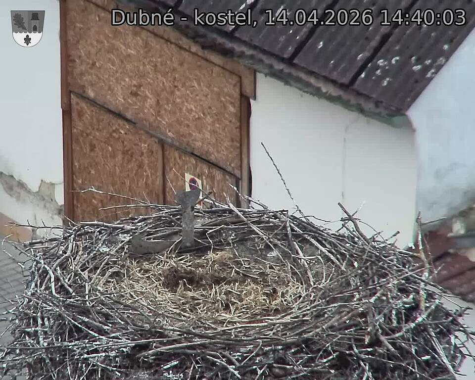 Capi_Dubne_20260414_144003.jpg (1350&nbsp;x&nbsp;1080)
