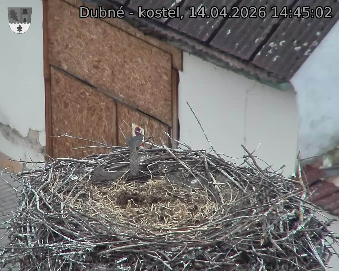 Capi_Dubne_20260414_144502.jpg (1350&nbsp;x&nbsp;1080)