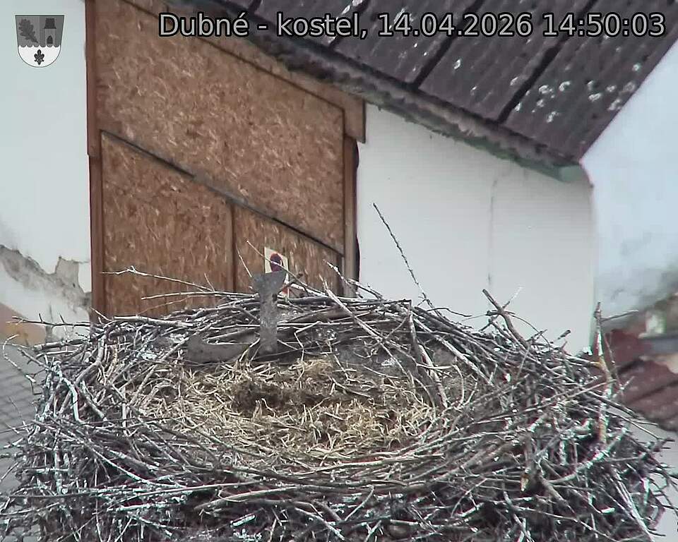 Capi_Dubne_20260414_145003.jpg (1350&nbsp;x&nbsp;1080)