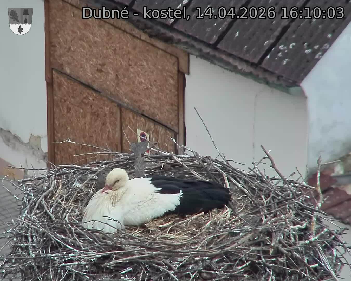 Capi_Dubne_20260414_161003.jpg (1350&nbsp;x&nbsp;1080)