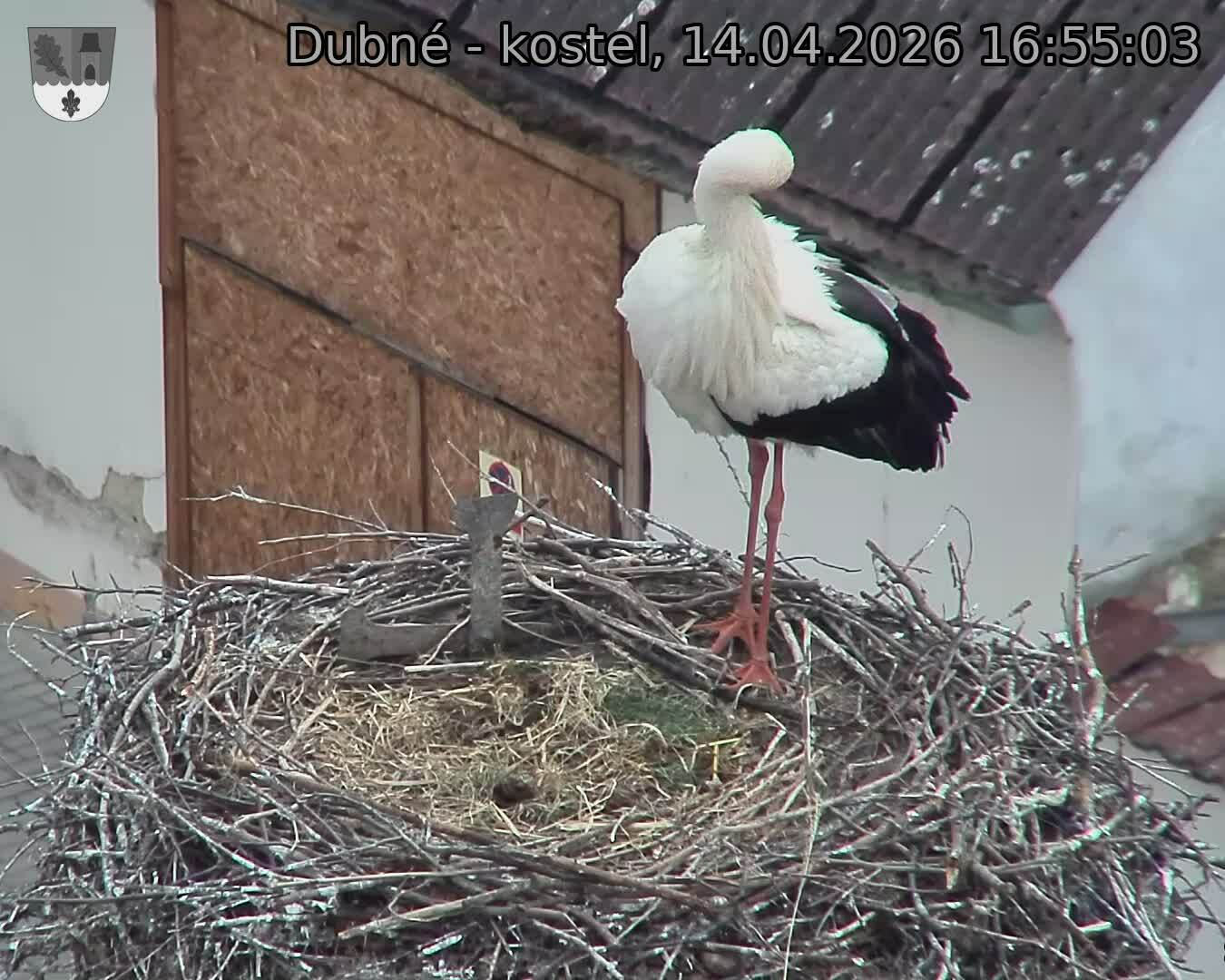 Capi_Dubne_20260414_165503.jpg (1350&nbsp;x&nbsp;1080)