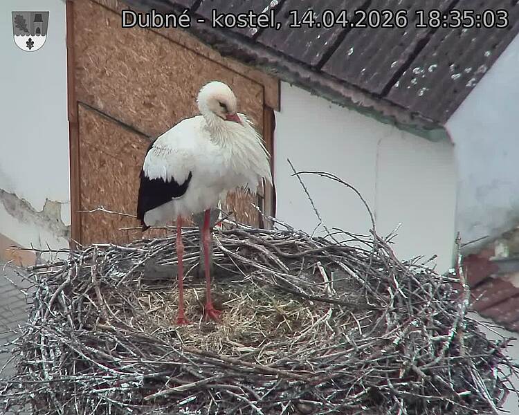 Capi_Dubne_20260414_183503.jpg (1350&nbsp;x&nbsp;1080)