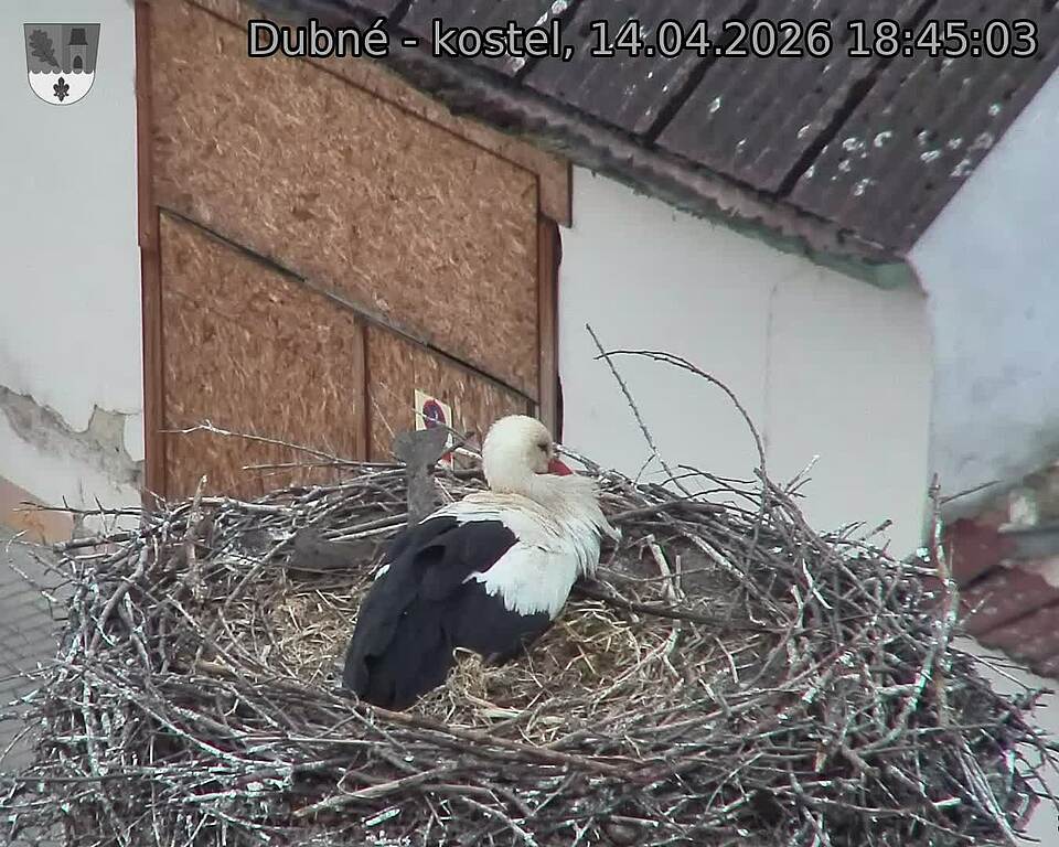 Capi_Dubne_20260414_184503.jpg (1350&nbsp;x&nbsp;1080)