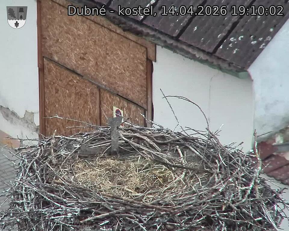 Capi_Dubne_20260414_191002.jpg (1350&nbsp;x&nbsp;1080)