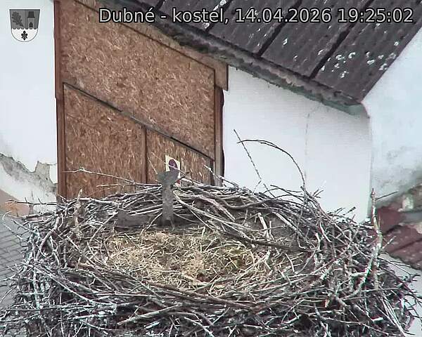 Capi_Dubne_20260414_192502.jpg (1350&nbsp;x&nbsp;1080)