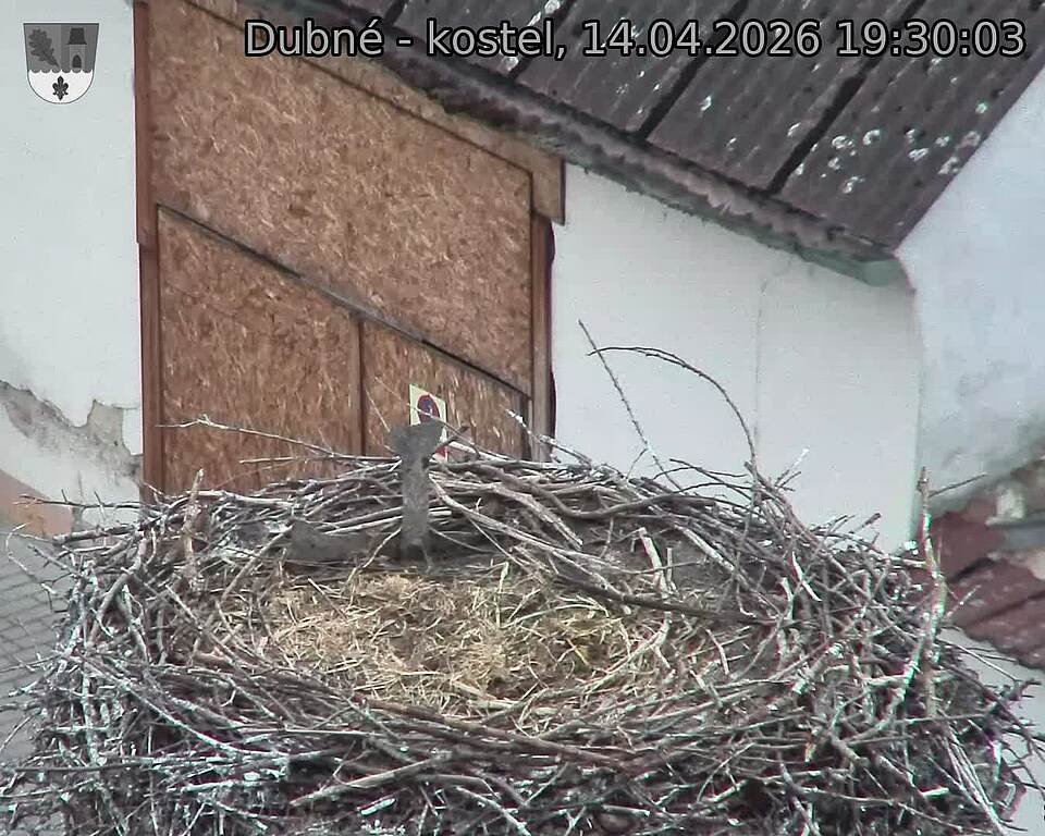 Capi_Dubne_20260414_193003.jpg (1350&nbsp;x&nbsp;1080)