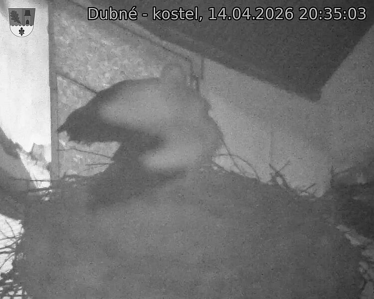 Capi_Dubne_20260414_203503.jpg (1350&nbsp;x&nbsp;1080)