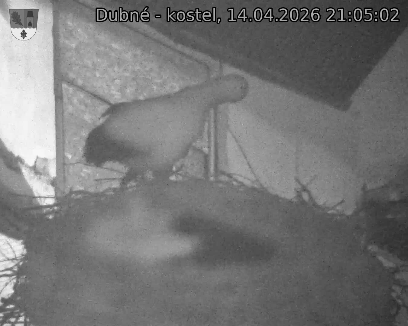 Capi_Dubne_20260414_210502.jpg (1350&nbsp;x&nbsp;1080)