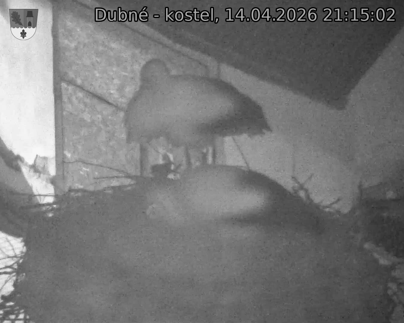 Capi_Dubne_20260414_211502.jpg (1350&nbsp;x&nbsp;1080)